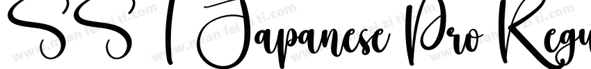 SST Japanese Pro Regular字体转换